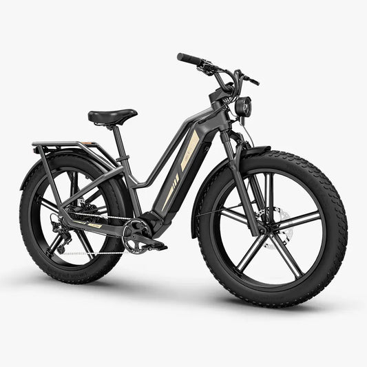 Fiido Titan Fat Tyre Touring E-Bike – 250W, Up to 347km Range
