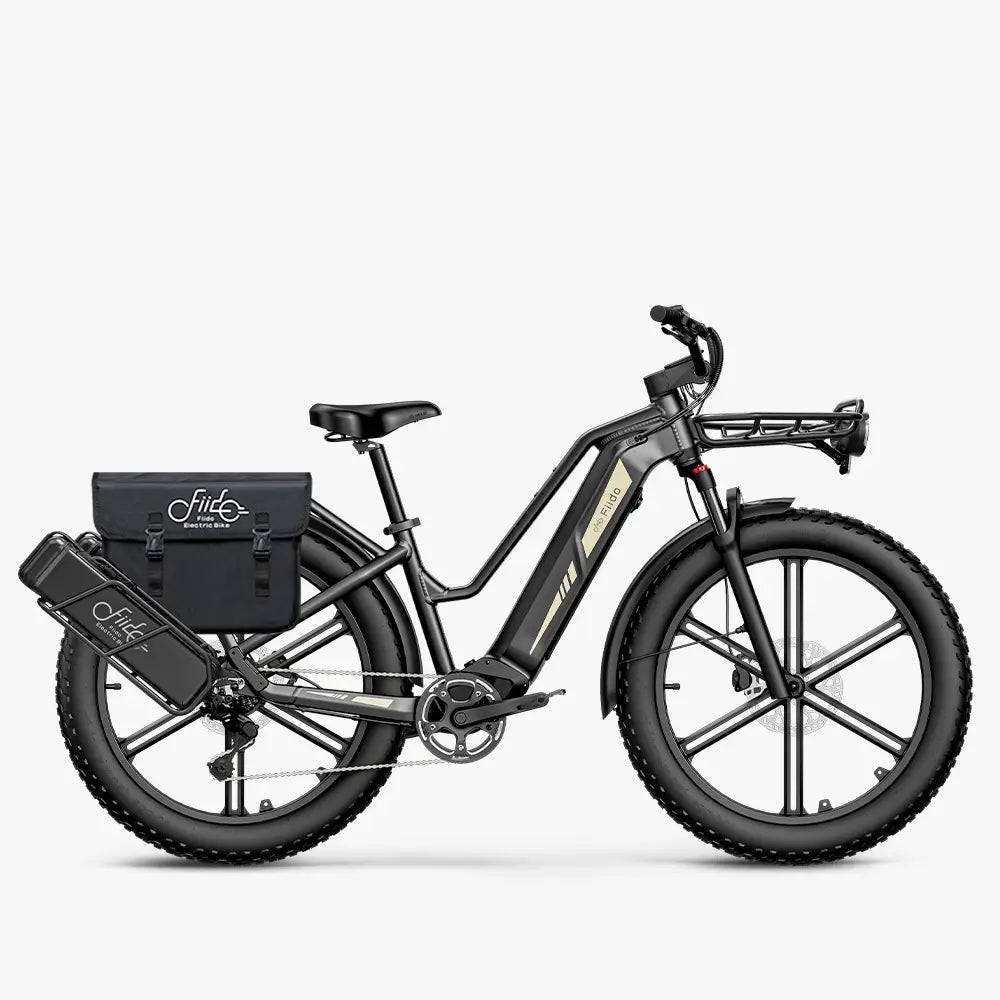 Fiido Titan Fat Tyre Touring E-Bike – 250W, Up to 347km Range