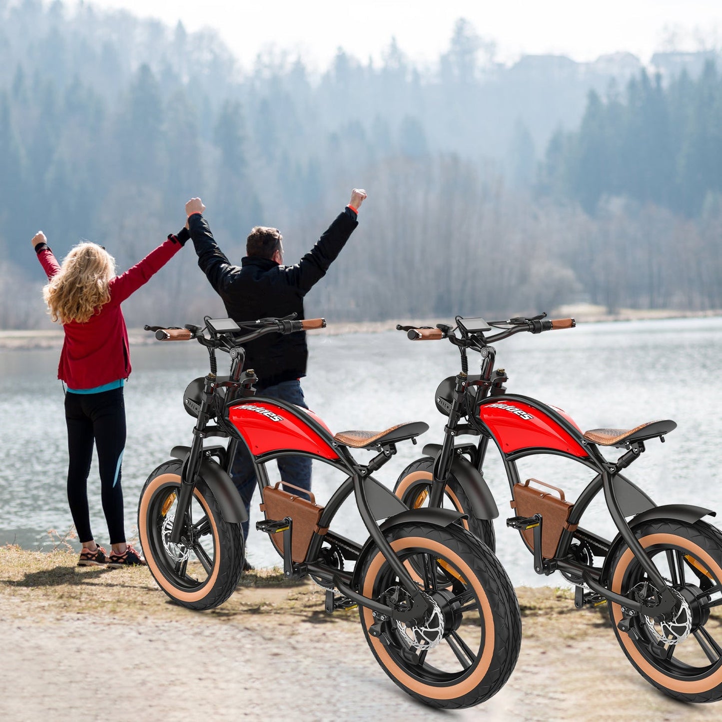 Hidoes® B10 -1000W Retro Vintage Fat Tyre Electric Bike